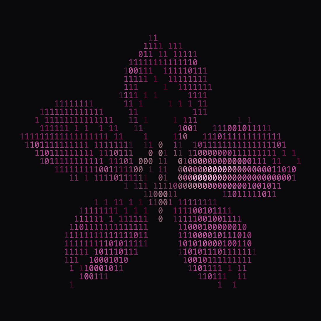 Hong Kong's bauhinia flower drawn entirely from binary digits